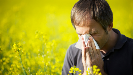 Allergic Rhinitis (Hay Fever): Treatment