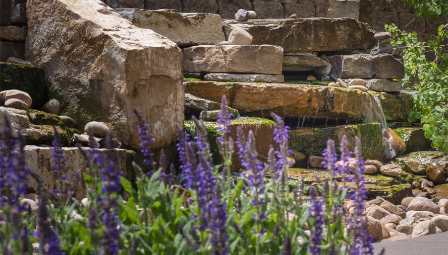 Healing waters at Western Oncology center