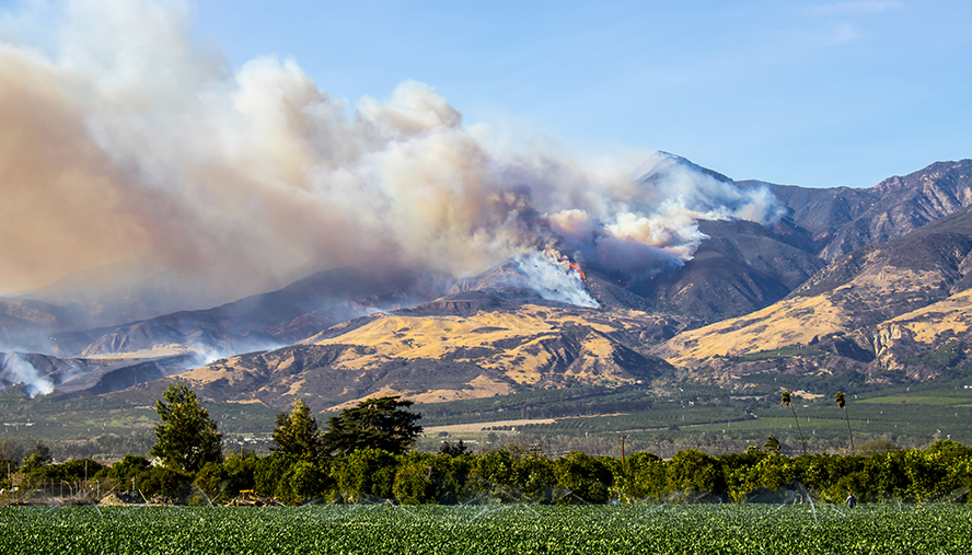 Wildfire and smoke