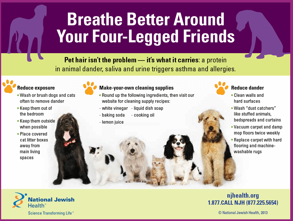Asthma and Pets infographic