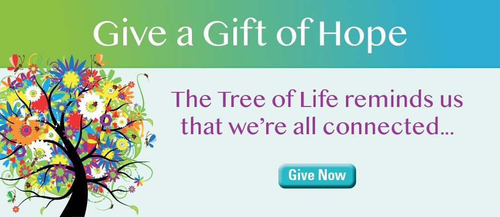 Make a Donation Modal Image