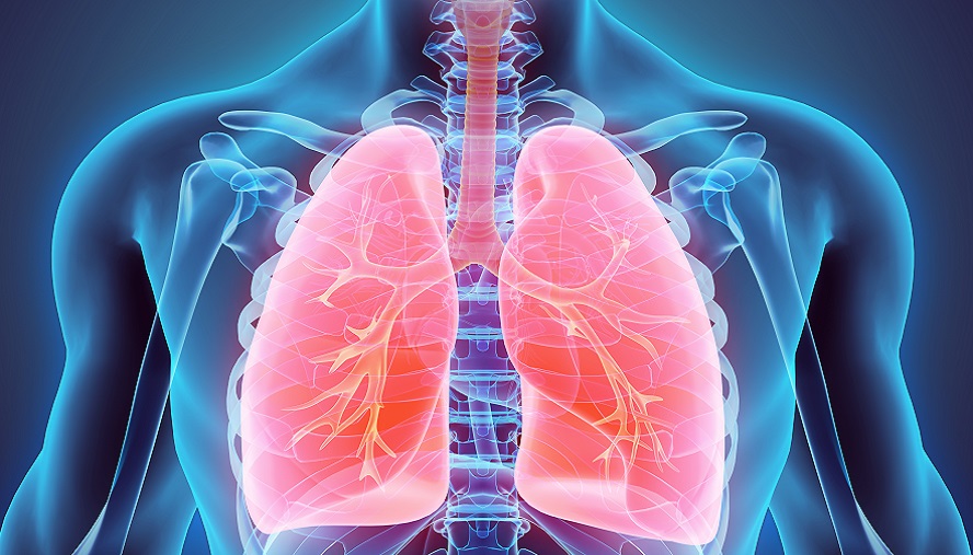 Granulomatous Exposure-Related Lung Disease Lab